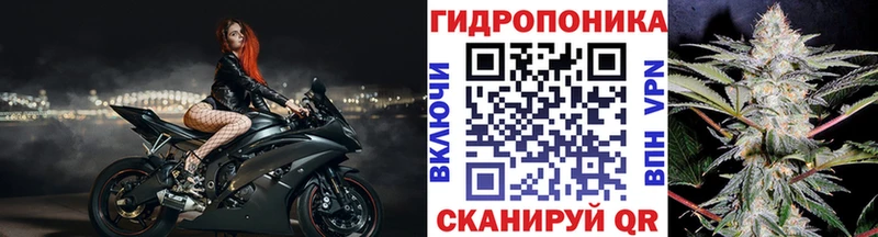 Купить где  Струнино  МАРИХУАНА марихуана 